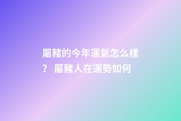 屬豬的今年運氣怎么樣？ 屬豬人在運勢如何